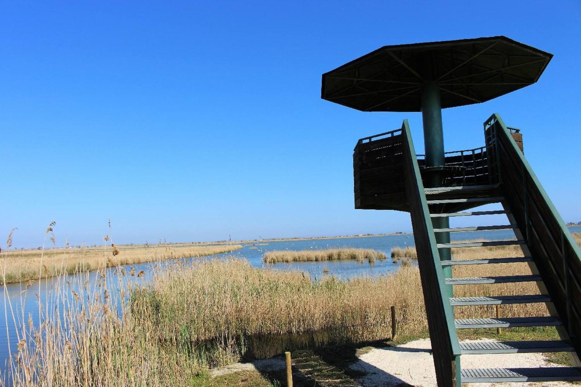 Quet - Casa Rural Con Piscina Privada En El Delta Del Ebro - Deltavacaciones Deltebre Luaran gambar